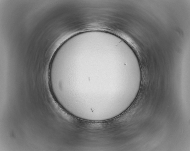 X0000110911431200907091427