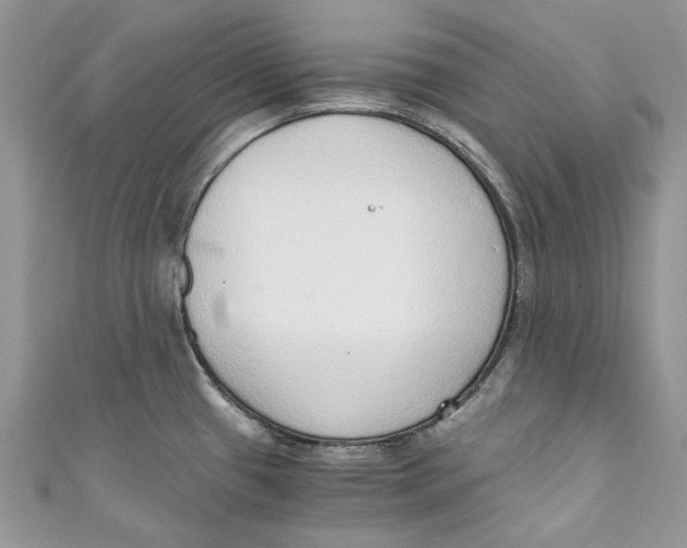 X0000110911433200907091427