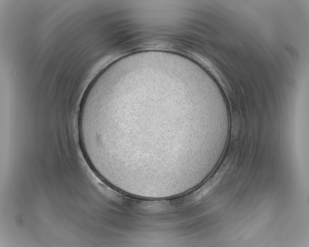 X0000110911434200907091427