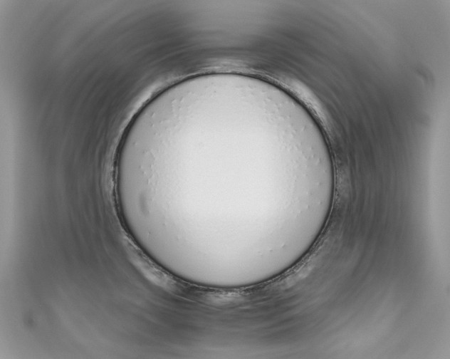 X0000110911435200907091427