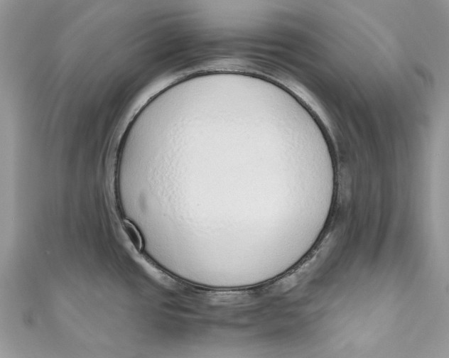 X0000110911437200907091427