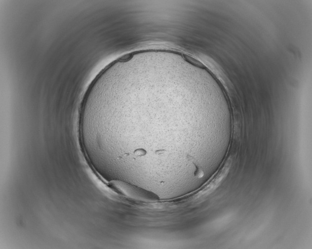 X0000110911438200907091427