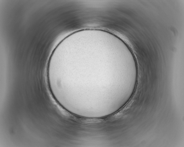 X0000110911440200907091427