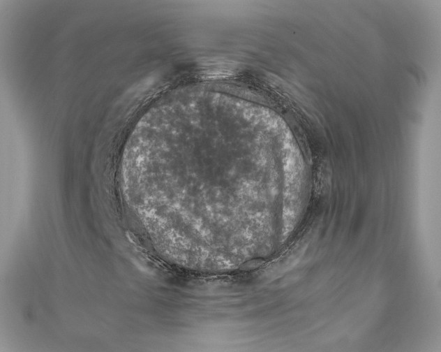 X0000110911441200907091427