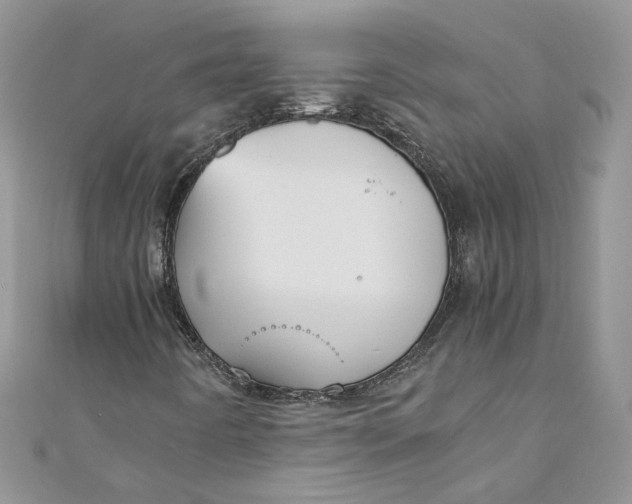 X0000110911442200907091427