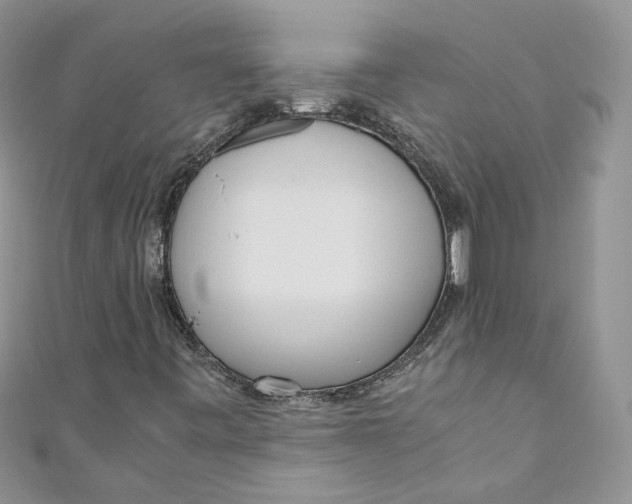 X0000110911443200907091427