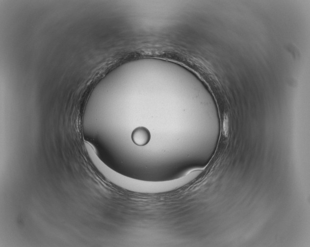 X0000110911444200907091427