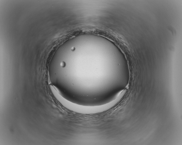 X0000110911445200907091427