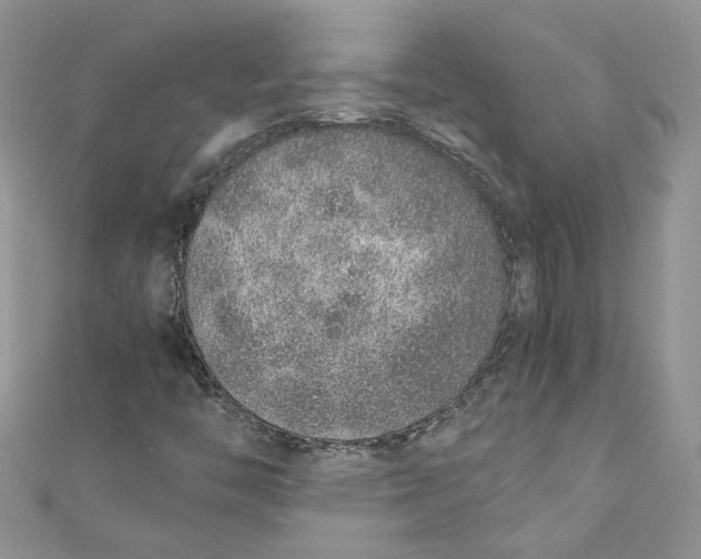 X0000110911446200907091427