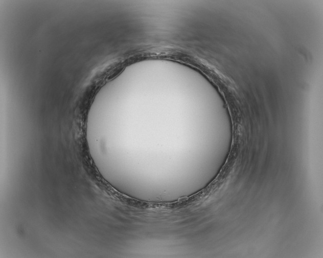 X0000110911447200907091427