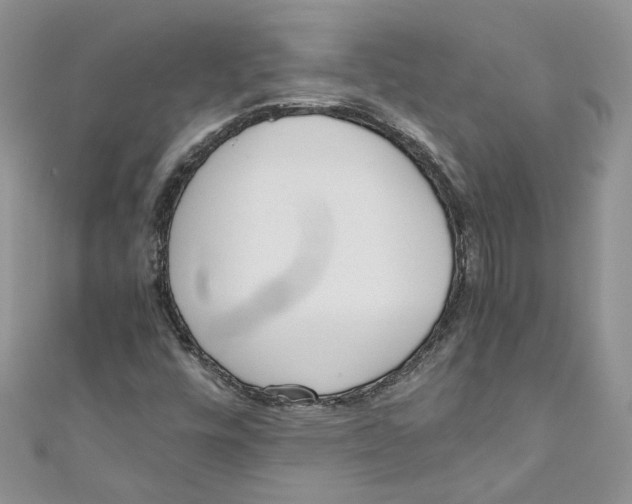 X0000110911448200907091427