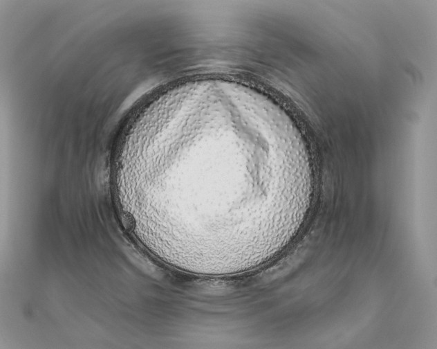 X0000110911450200907091427