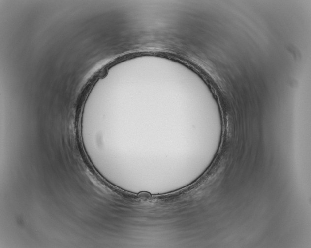 X0000110911452200907091426