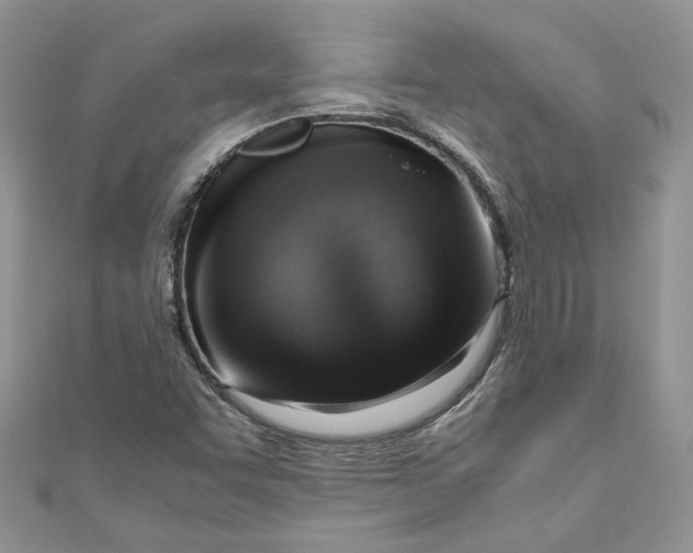 X0000110911455200907091426