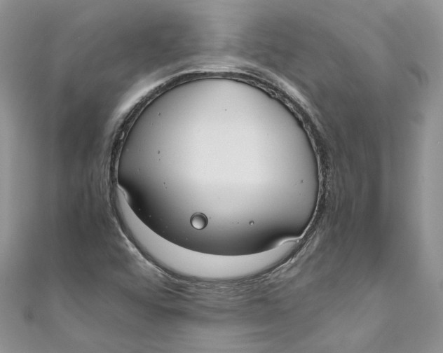 X0000110911456200907091426