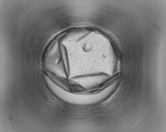 X0000110911457200907091426