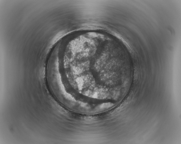 X0000110911459200907091426