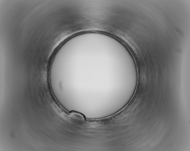 X0000110911460200907091426