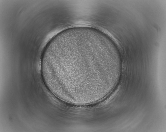 X0000110911461200907091426