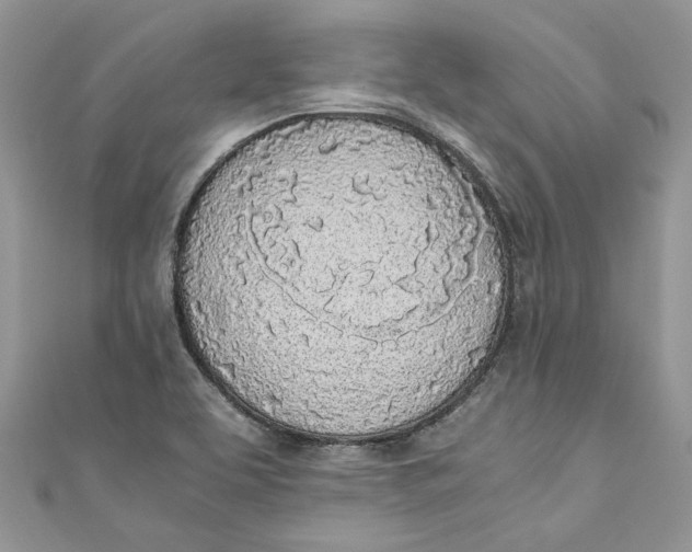 X0000110911463200907091426