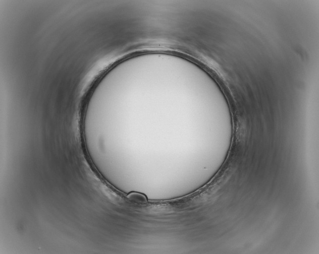 X0000110911464200907091426