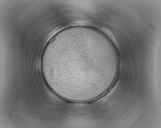 X0000110911465200907091426