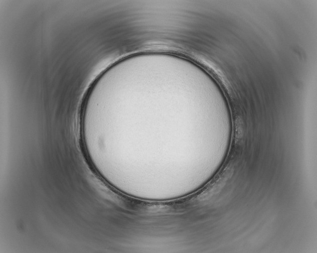 X0000110911467200907091426