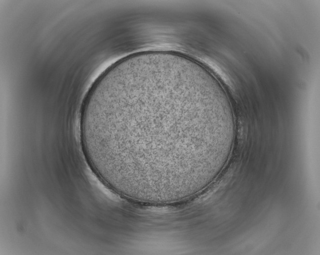 X0000110911468200907091426