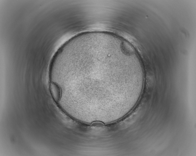 X0000110911469200907091426