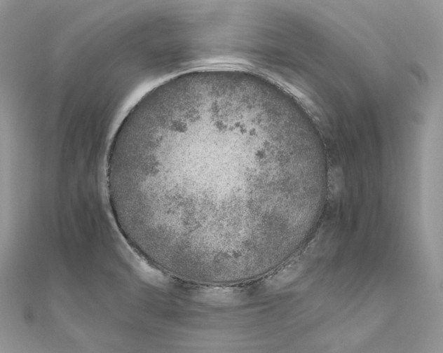 X0000110911470200907091426