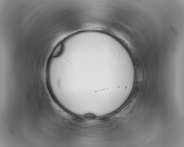 X0000110911471200907091426