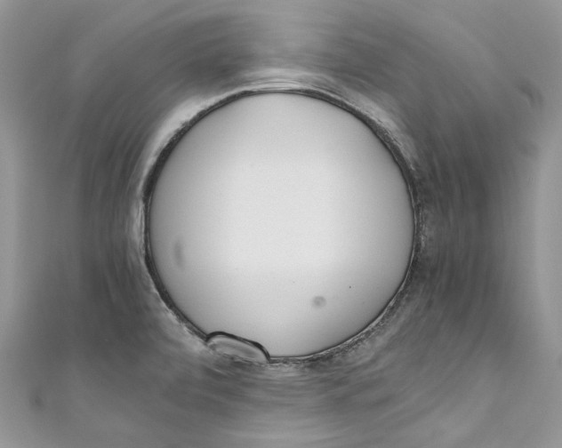 X0000110911472200907091426