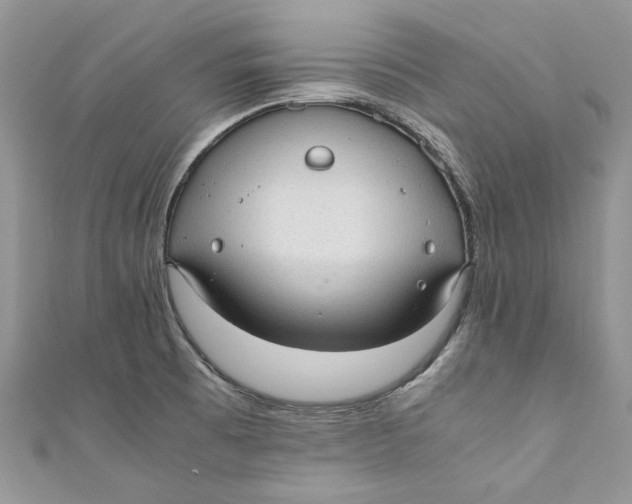 X0000110911473200907091426