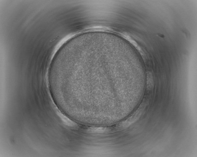 X0000110911474200907091426