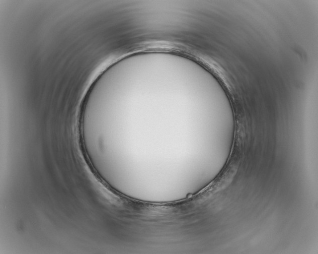 X0000110911475200907091426