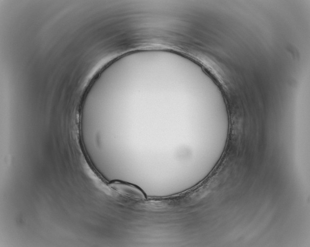 X0000110911476200907091426