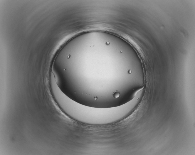 X0000110911477200907091426