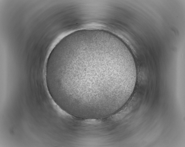 X0000110911478200907091426