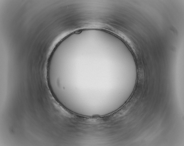 X0000110911480200907091426