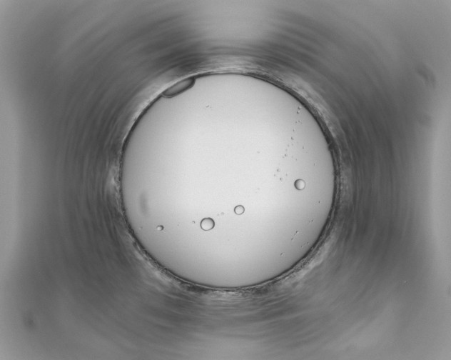 X0000110911481200907091426