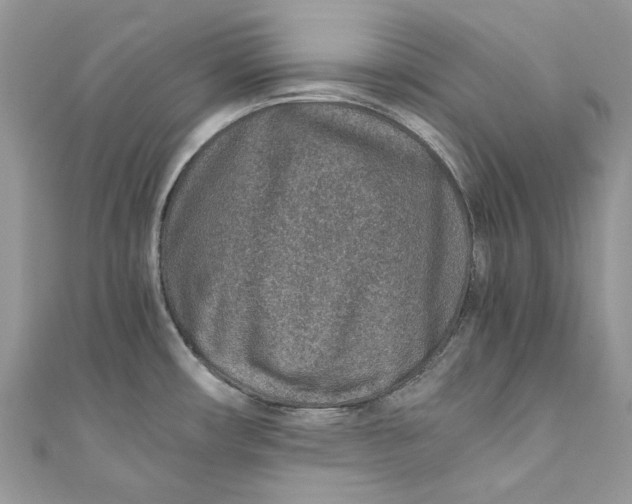 X0000110911482200907091426