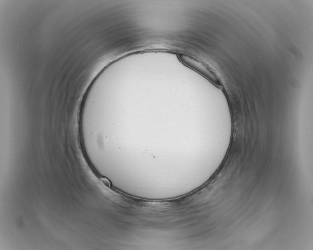 X0000110911483200907091426