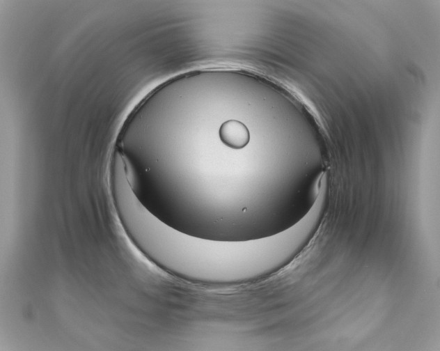 X0000110911484200907091426