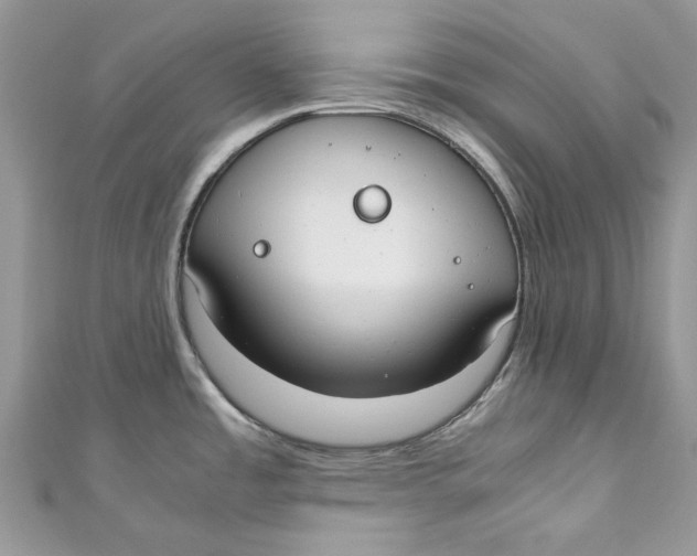 X0000110911485200907091426