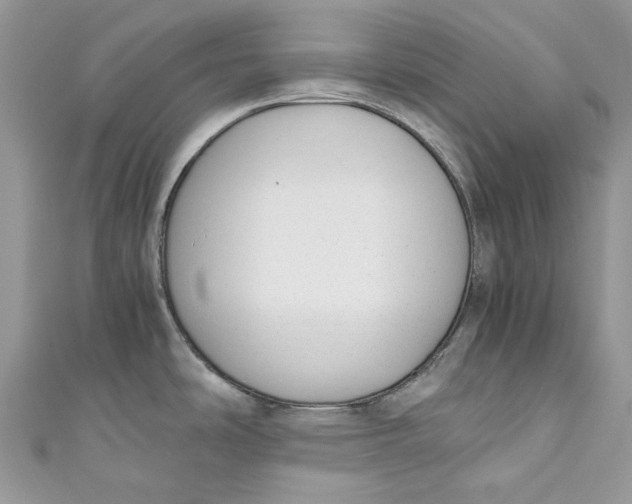 X0000110911486200907091426