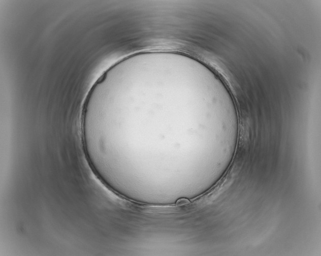 X0000110911487200907091426