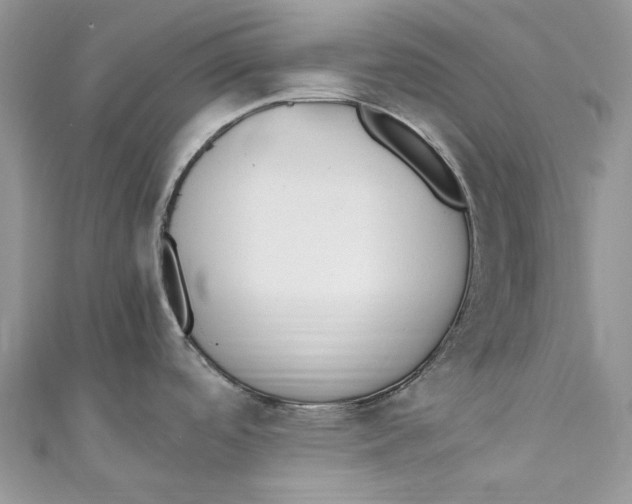 X0000110911488200907091426