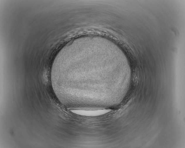 X0000110911490200907091425