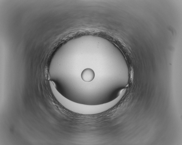 X0000110911492200907091425