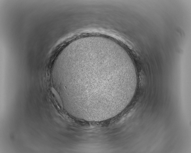 X0000110911494200907091425